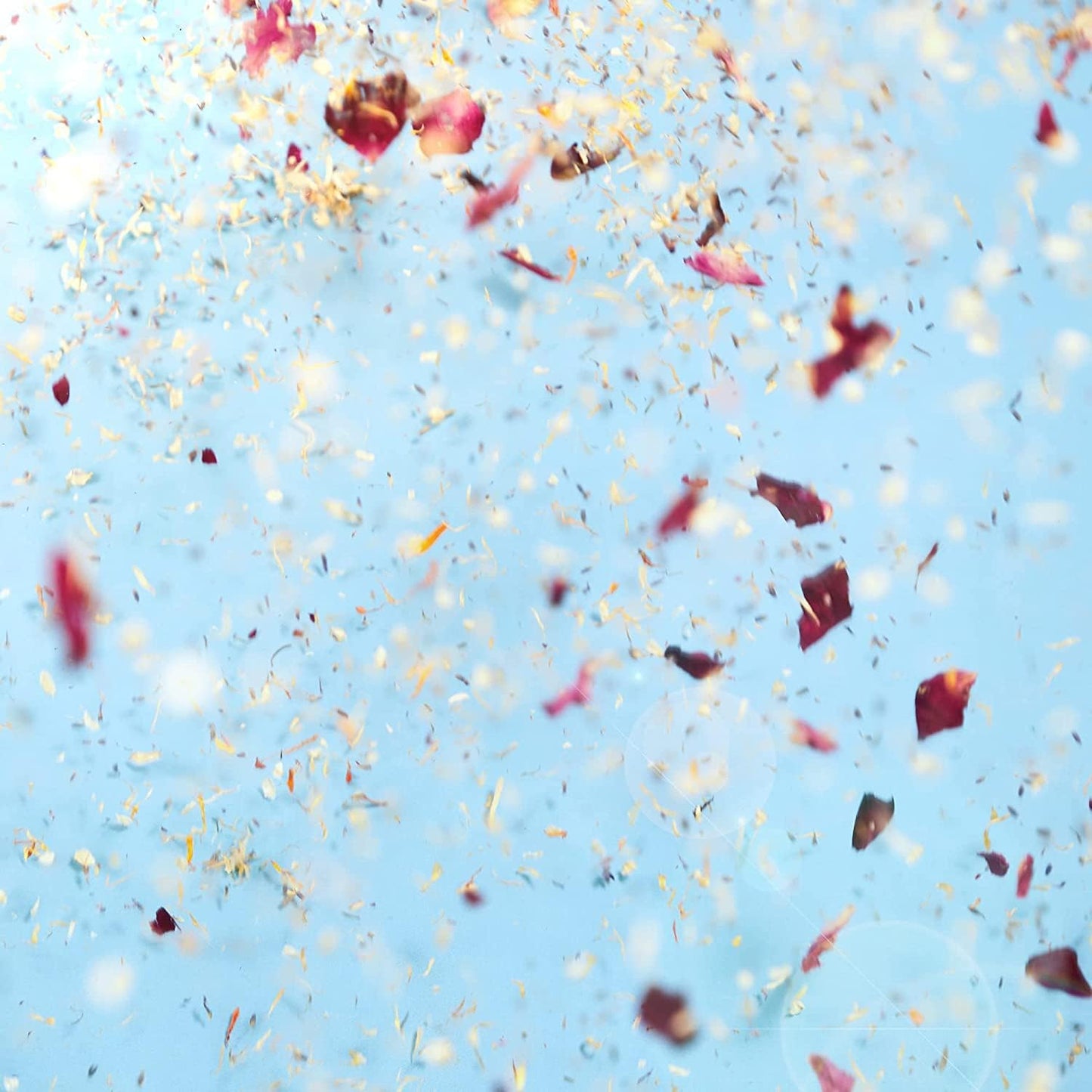 Flora & Bloom Biodegradable Wedding Confetti Kit - 24 Guests